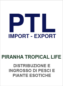 logo ptl nad bomboniere viventi