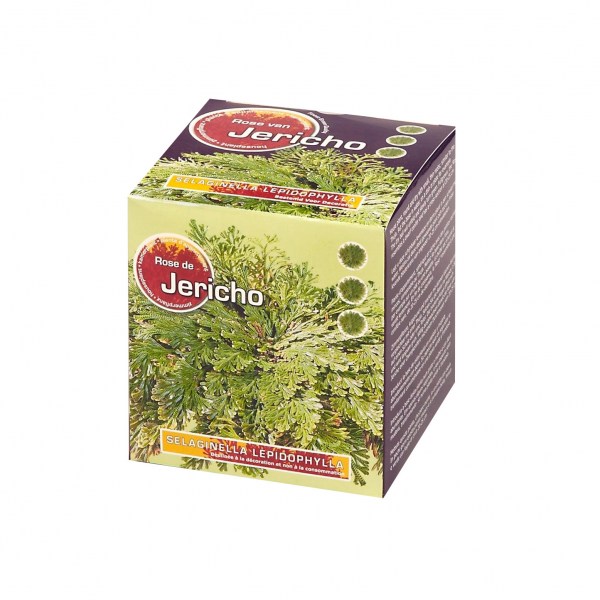 gifts-living-g66266-bomboniere-viventi-idee-regalo-originali-nad3.jpg