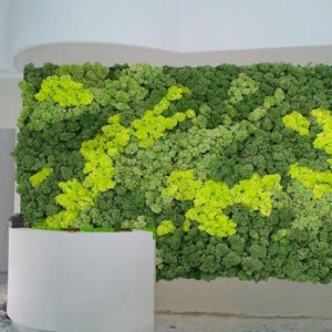 ARREDO NATURA - complementi d'arredo, pareti vegetali stabilizzate, angoli di natura